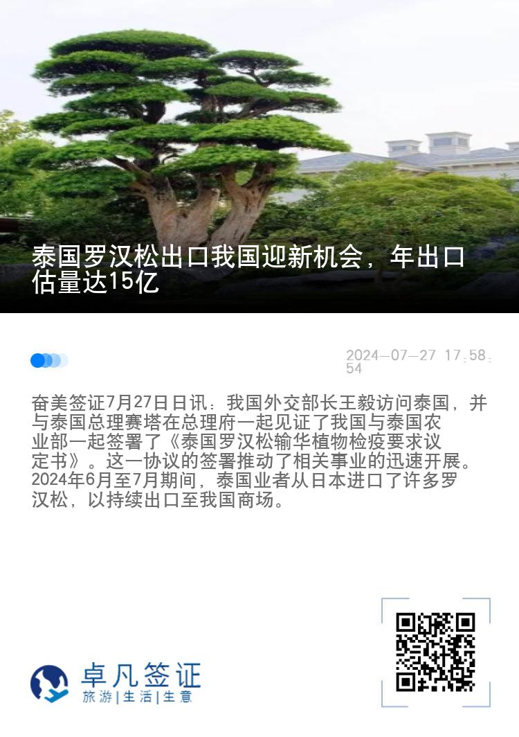 泰国罗汉松出口我国迎新机会，年出口估量达15亿