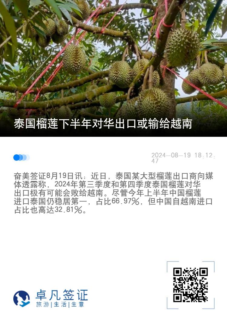 泰国榴莲下半年对华出口或输给越南