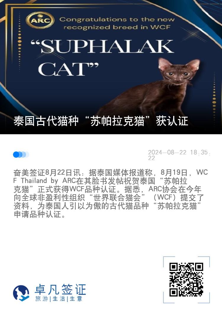 泰国古代猫种“苏帕拉克猫”获认证